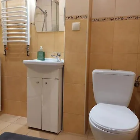 Domin Domin 公寓 琴斯托霍瓦