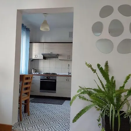 公寓 Domin Domin 琴斯托霍瓦