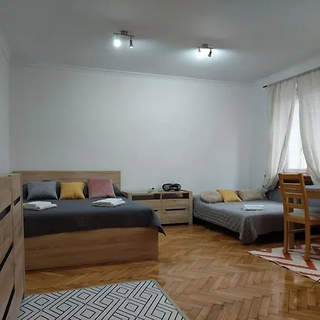 公寓 Domin Domin 琴斯托霍瓦