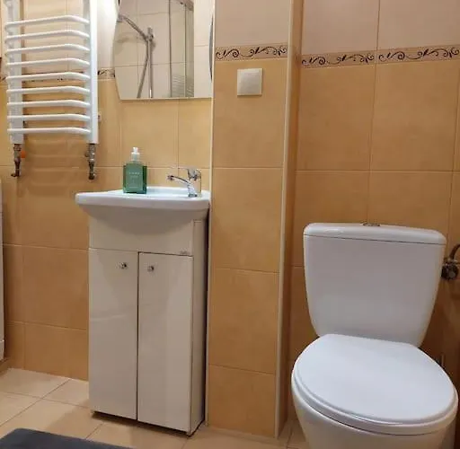 Domin Domin Daire Çestohova